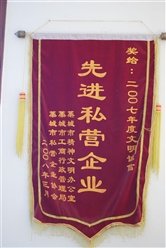 先進(jìn)私營企業(yè)
